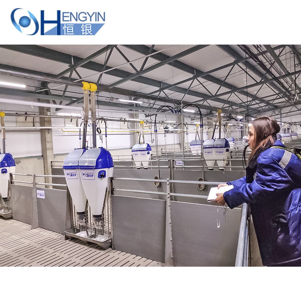 Chinese Original Manufacturer Animal Cages Pig Cages Pig Farm Design