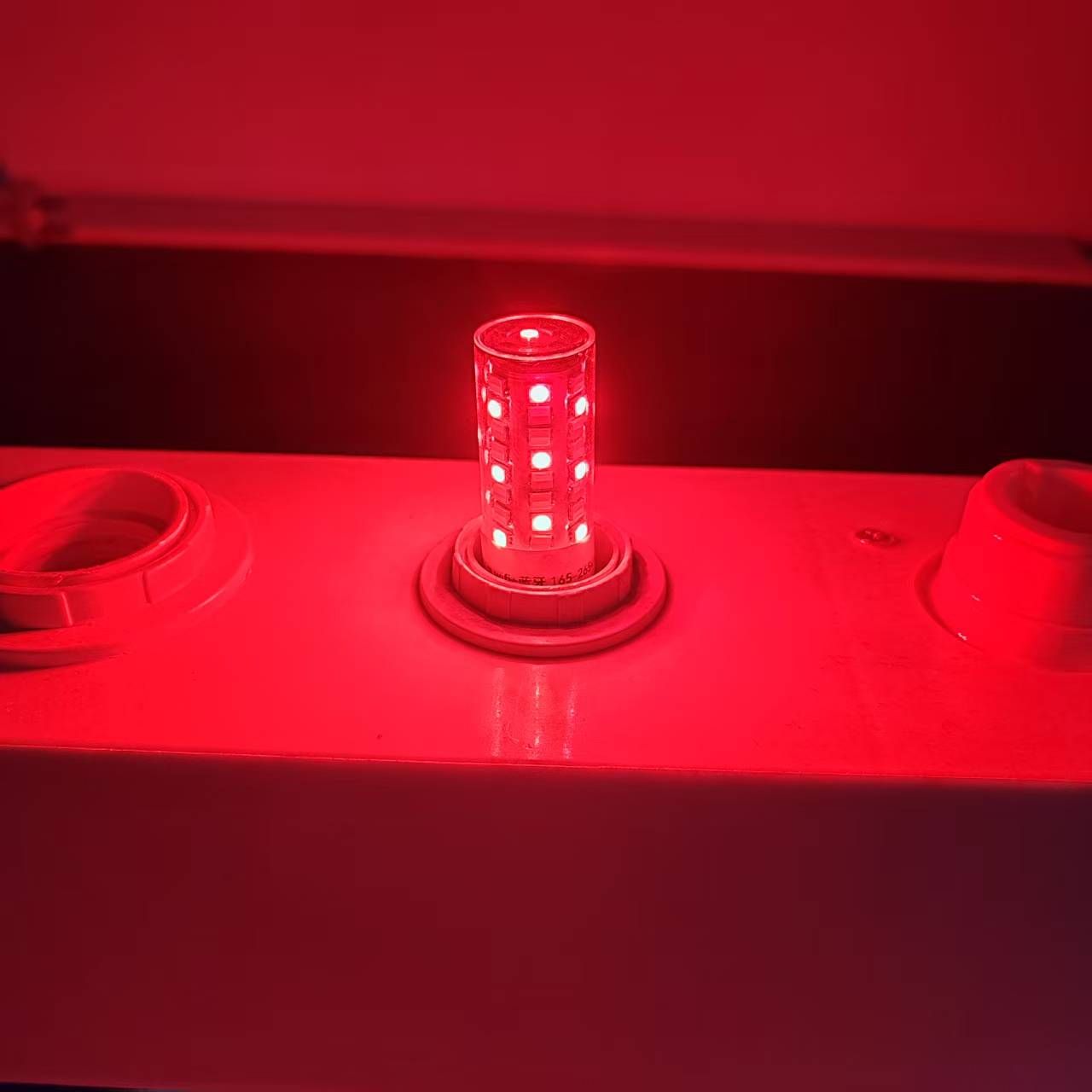 G9 Smart Light WiFi LED Lighting for Christamas, Halloween, Party, Wedding, Holiday