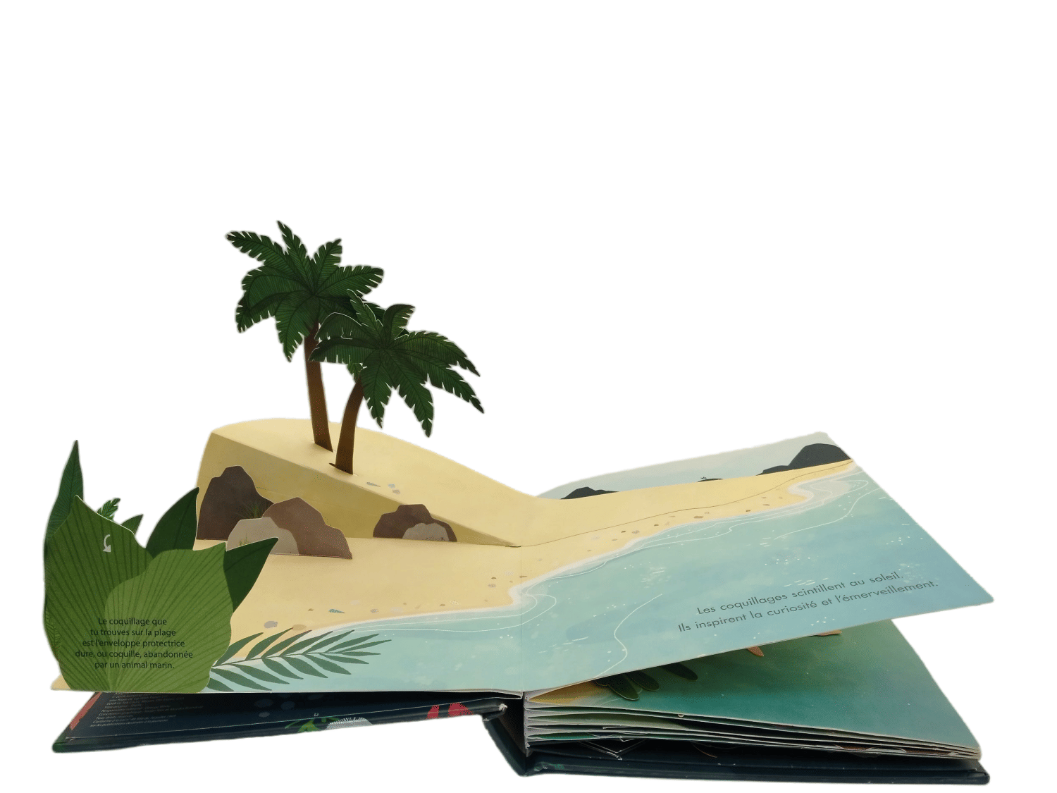 Unique Colorful Three-Dimensional Pop-up Book for Kids and Adults