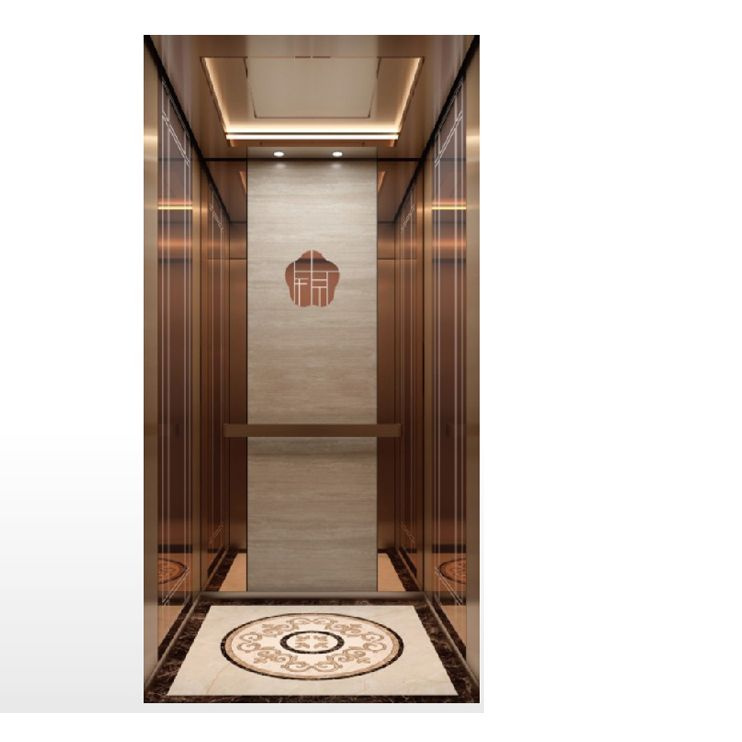 2024 Year Household Small Home Elevators 450kgs Capacity with Factory Price