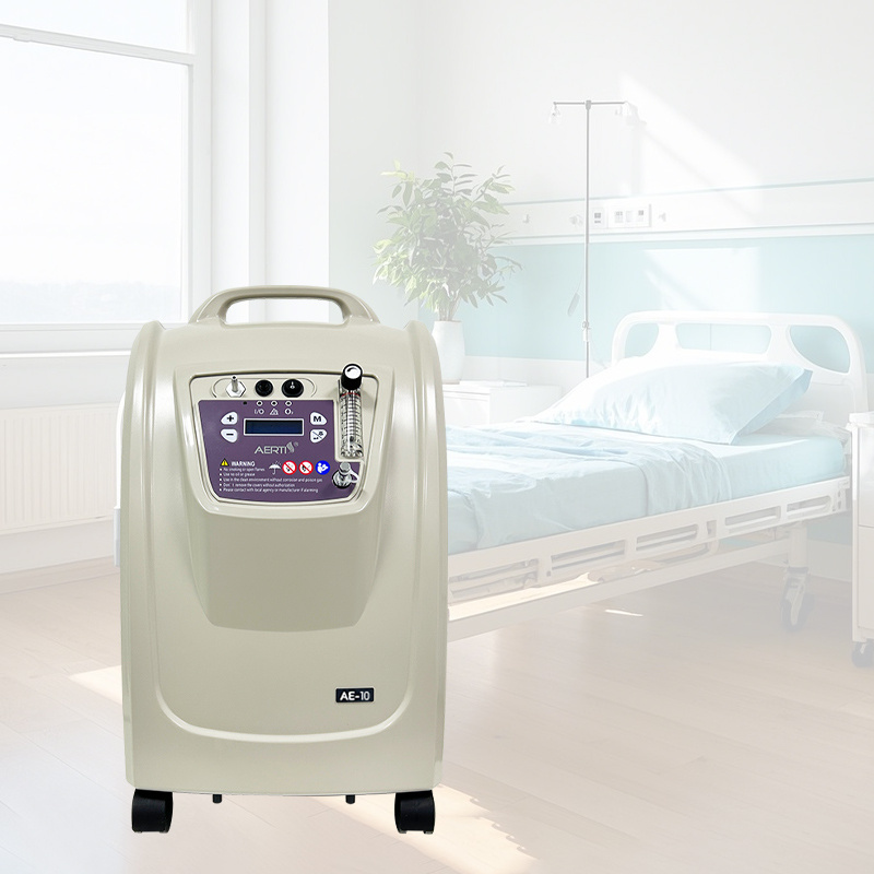 Factory Wholesale Ae-10 Oxygen Concentrator 10L Price Oxygen Unit for Home