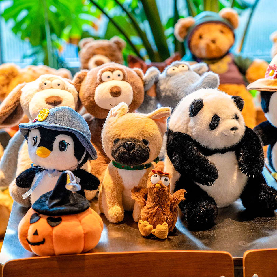 Factory Price Soft Cotton Baby Children Soft Teddy Bear Cats Custom Plush Toys Oem Odm Stuffed Animal Toys Cute Plushies Dolls