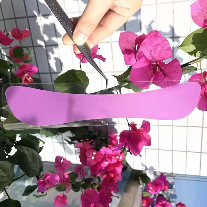 Beauty Products Wholesale Eyelashes Tools Eyelash Lift Silicone Eyebrow Stickers Perm Tools Lash Patches Lashlift Curlers Curl Pads Skin Care Product