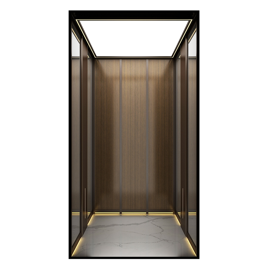 Space-Saving Simple and Stylish Small Home Villa Passenger Elevator Lift