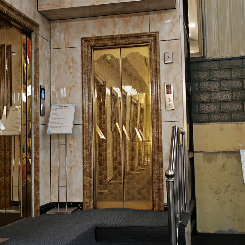 Good Price Best Quality Popular Silent Home Residential Hospital Lift 1000kg 1.0 M/S Machine Room Passenger Elevator with CE Certificate