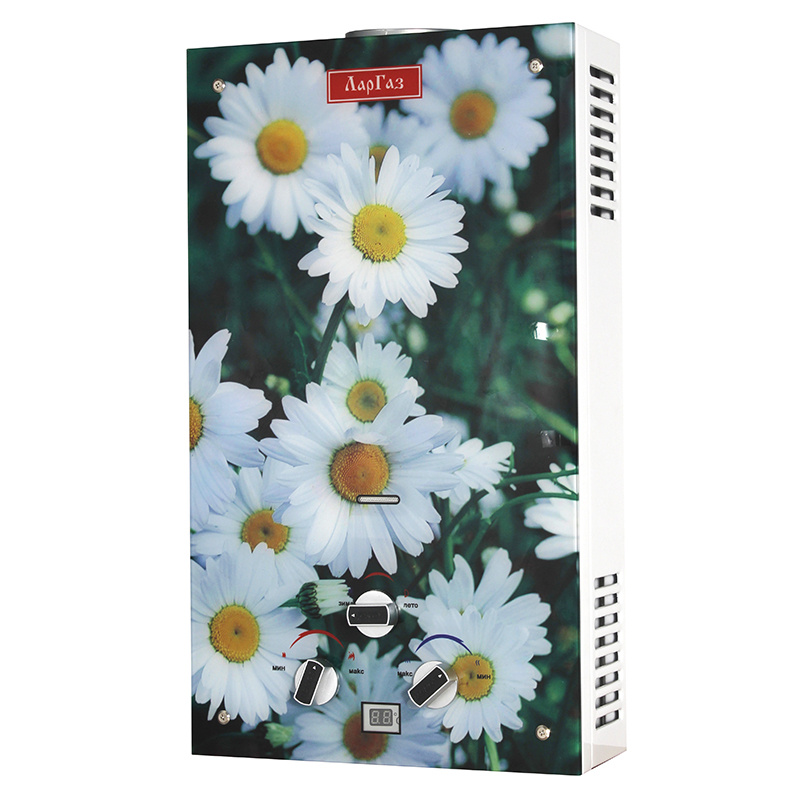 LPG Natural Gas Water Heater Instant Hot Tankless Geyser Home Appliance