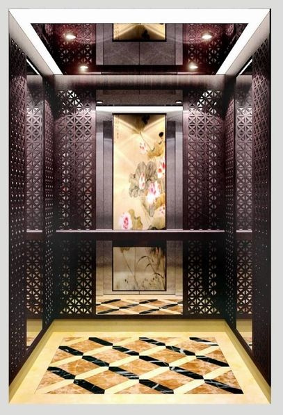 Passenger Home Elevator Lift with Good Price China Wholesale