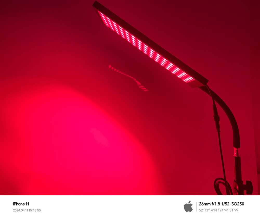 Shanglaite Skin Beauty Care Pain Relief Anti-Aging 660nm 850nm Physical Home Use LED Red Light Therapy Product