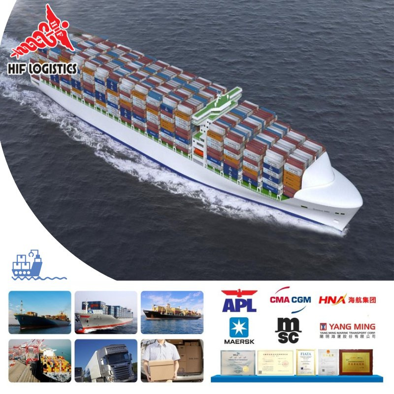 Cheapest Door to Door Fast Shipping Agent & Freight Forwarding Agent From China to USA/UK/UAE/Europe for Amazon Fba DDU DDP