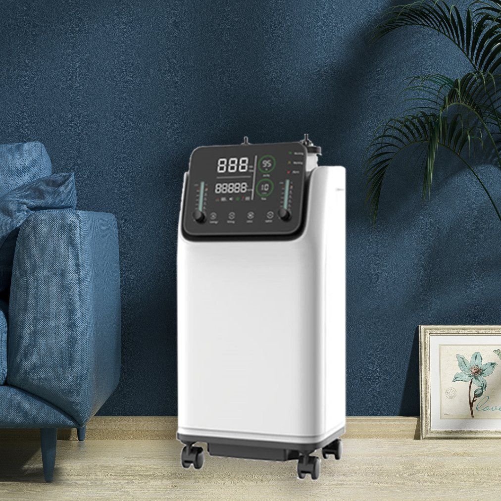 Clinic and Home Use Physical Therapy Equipment 10L Portable Double Flow Oxygen Concentrator with Abnormal Alarm, Nebulizer, Work with a Non-Invasive Ventilator