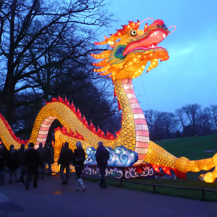Traditional New Year Festival Chinese Dragon Lantern Silk Cloth 3d Led Lighted Decorative Animal Lantern