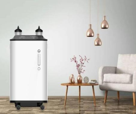 Medical Equipment 10L Home Use Medical Portable Price Factory Sale Portable Oxygen Concentrator