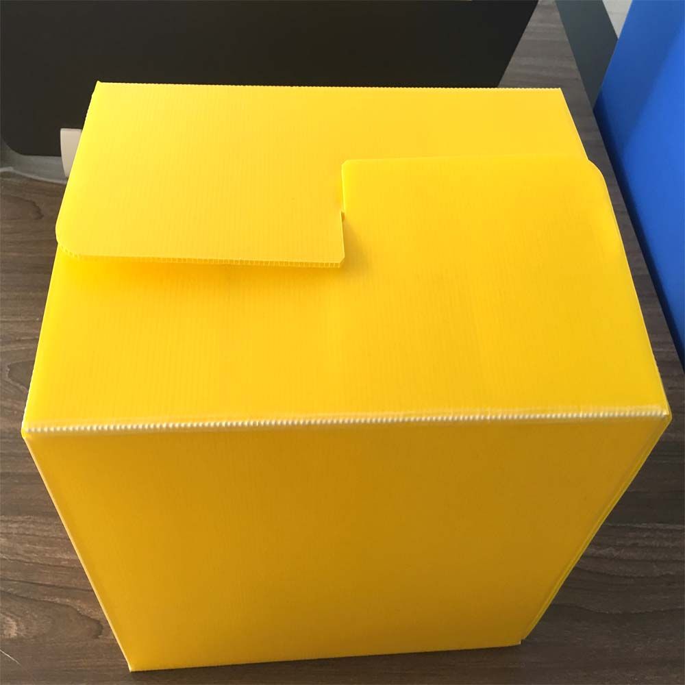 Cold Storage Foldable Recyclable PP Coroplast Plastic Corrugated Packing Bin