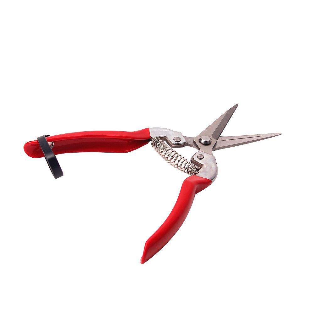 Stainless Steel Gardening Shears Scissors for Fruit Cutting Tool