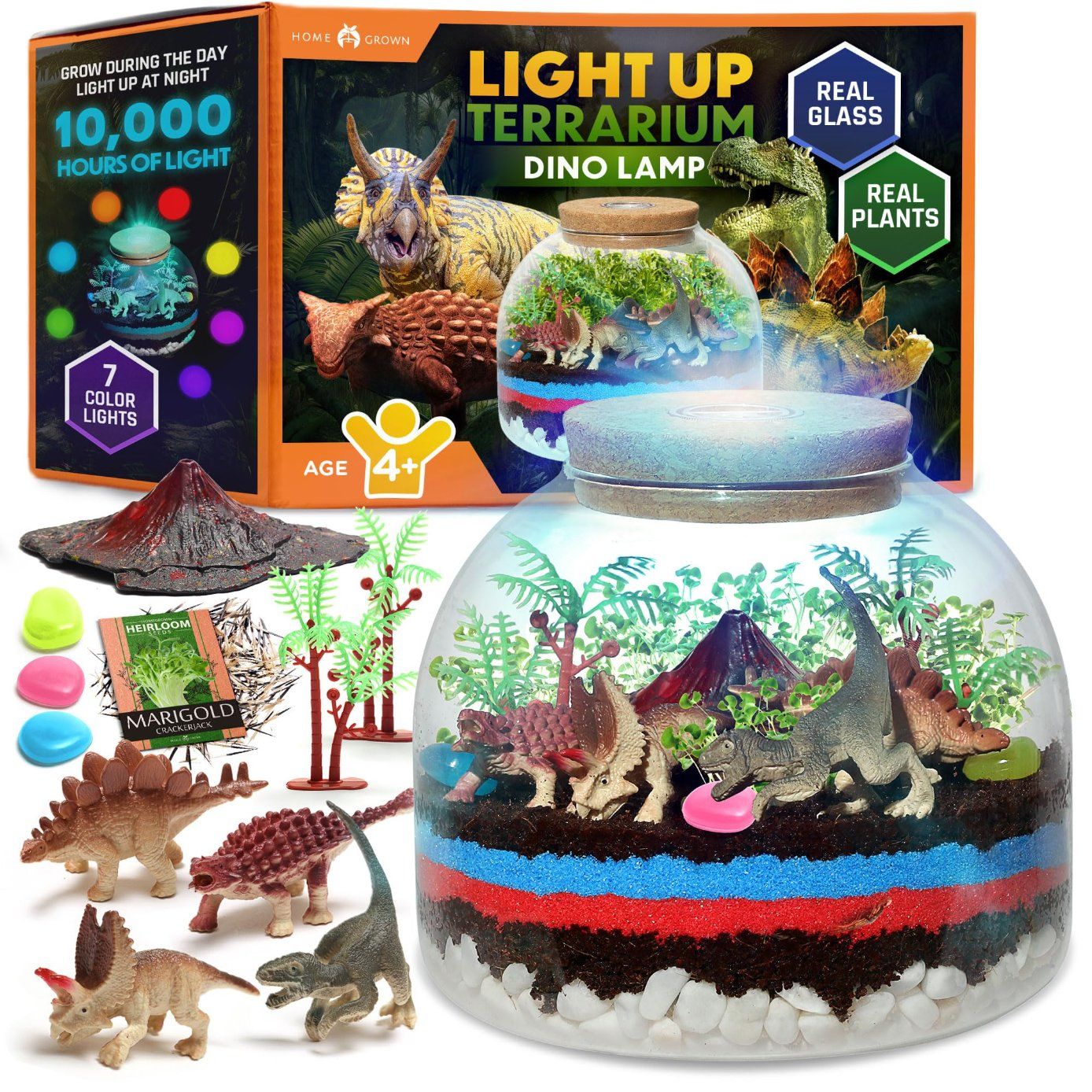 Home Grown Light up Terrarium Kit DIY Dinosaur Educational Toy for Kids