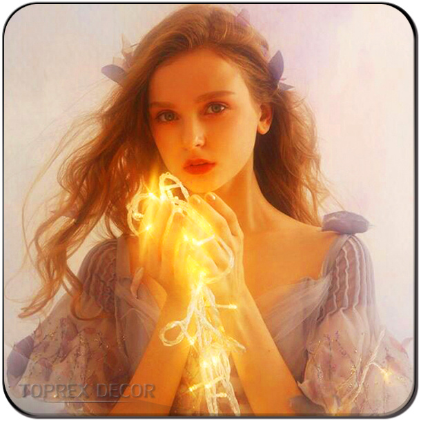 Holiday Garden Home Lighting Outdoor Waterfall LED String Light in Stock