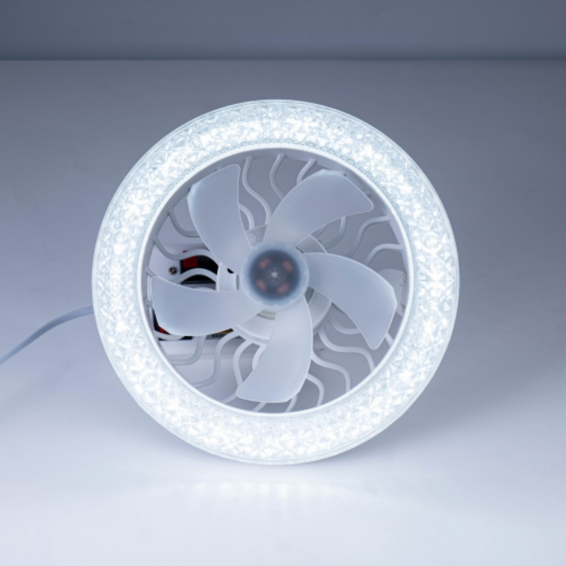 High Quality Energy Saving Remote Control Mini Ceiling Fan Light for Bedroom Living Room Indoor Home Decoration Ceiling Fan Lamp (ZY-FL24002)