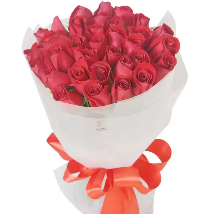 Vietnam Manufacturers Bopp Film Cling Film Plastic Packaging For Custom Garment Bags With Low Moq