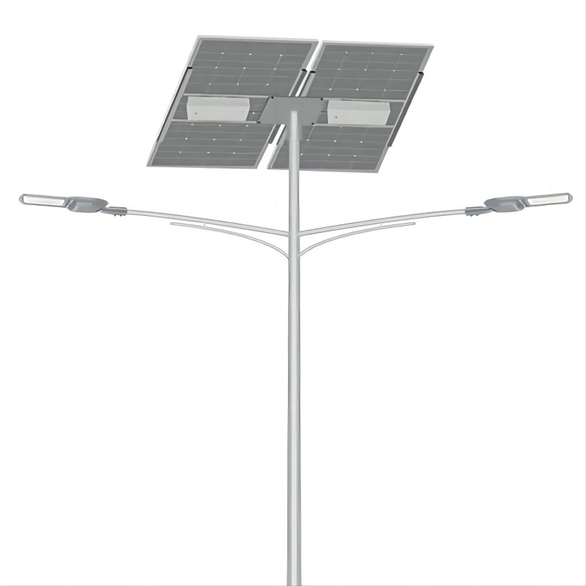 OEM/ODM Dual 80W LED Solar Street Lighting System