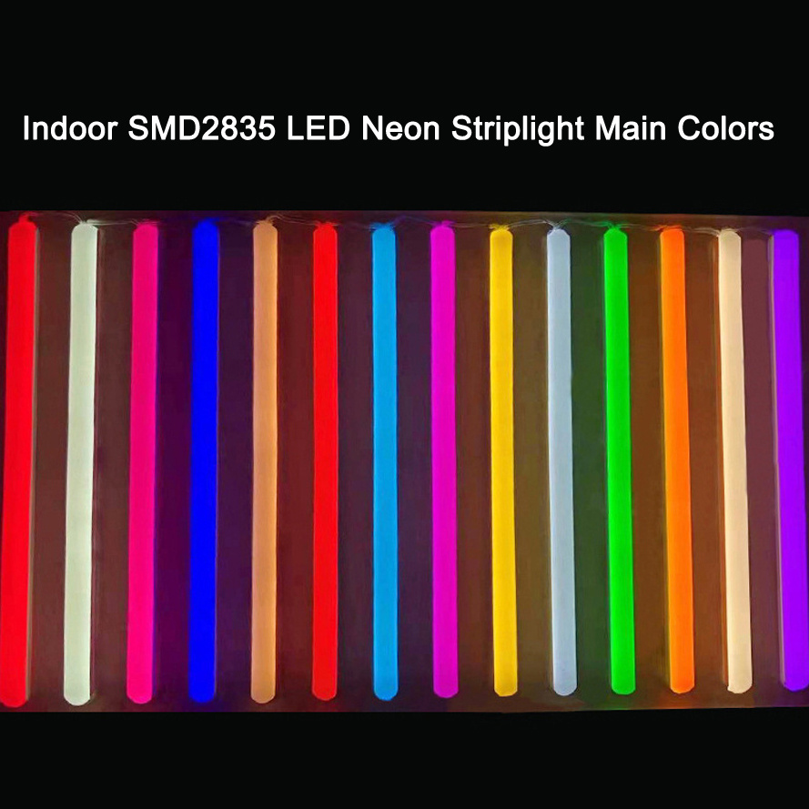 IP33 Wall Mounted DC12V LED Neon DIY Sign Billboard LED Neon Striplight Separate with LED Tape Cheap Price