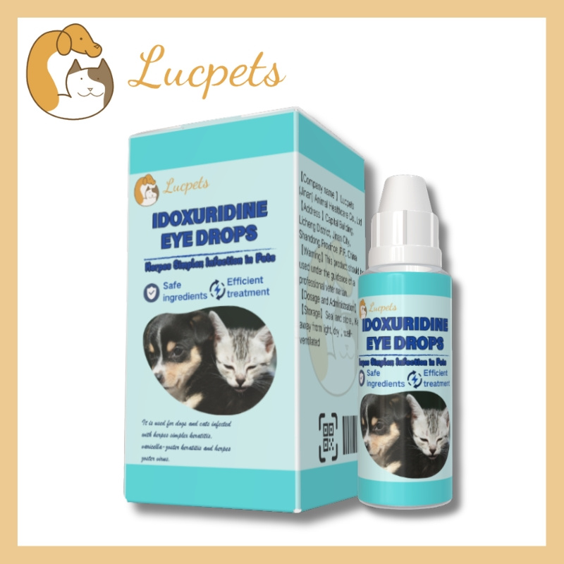 Pet Idoxuridine Eye Drops Herpes Simplex Keratitis Smallpox Keratitis Herpes Zoster of Pet