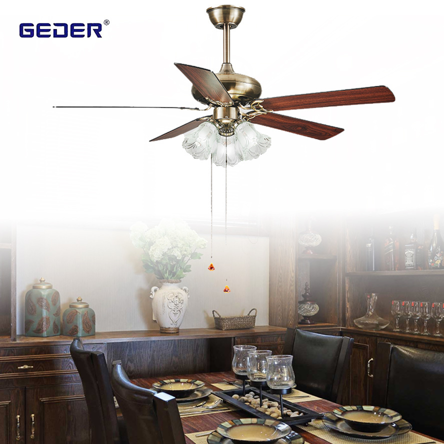 New Arrival Remote Control Fancy Decorative Ceiling Fan with Light