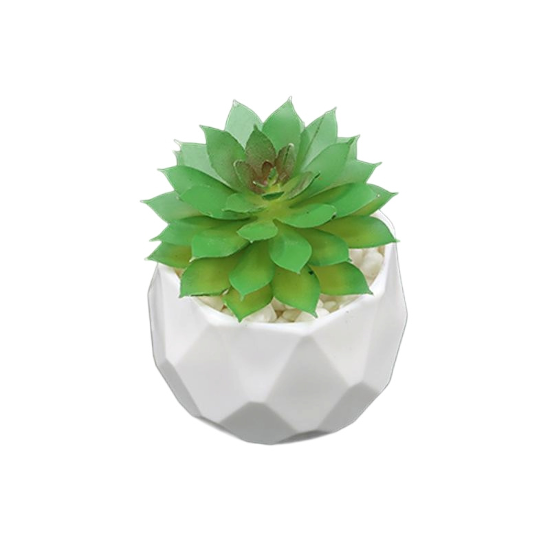 Exquisite and Fresh Artificial Succulent Plant Decorative Items
