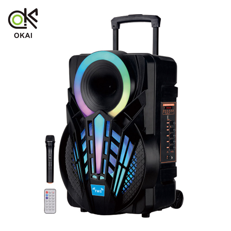 Latest Private 12 Inch Professional Audio with Circle Lighting Wireless with Battery Portable Bluetooth Loud Sound Speaker