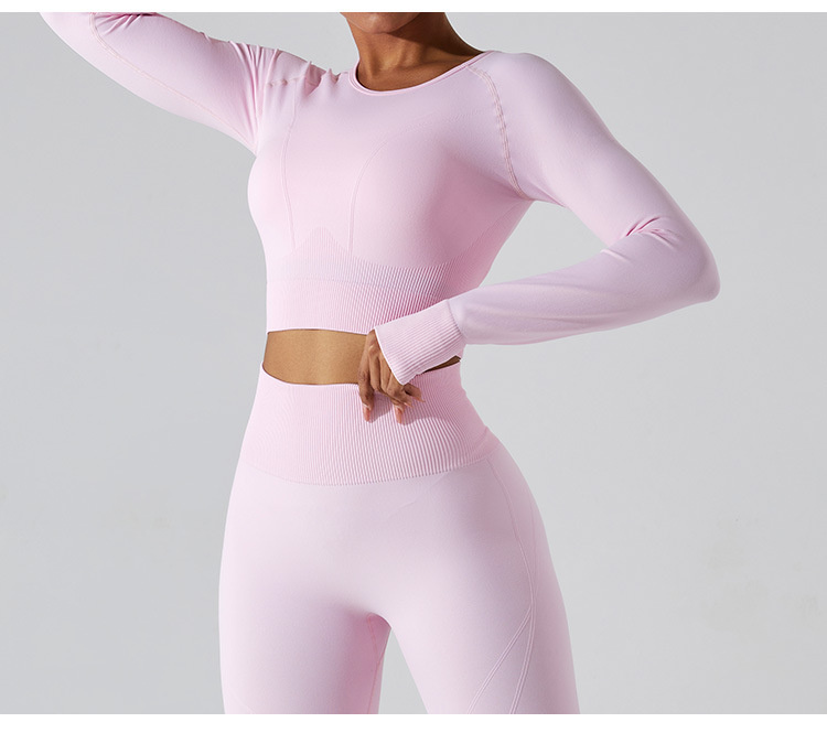 Seamless Quick-Drying Long-Sleeved T-Shirt Outdoor Sportswear Slim Yoga Wear Top