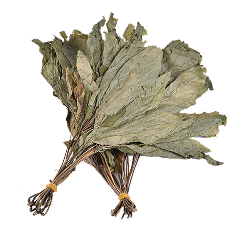 5006 Ren Shen Ye Wholesale High Quality Ginseng Leaves for Herbal Tea Dried Ginseng Leaf Tea