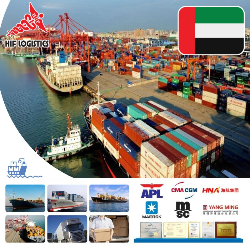 Fast Shipping Logistics/Sea Freight Forwarder/Sea Shipping/Shipping Agent/China Shipping to Dammam Saudi Arabia