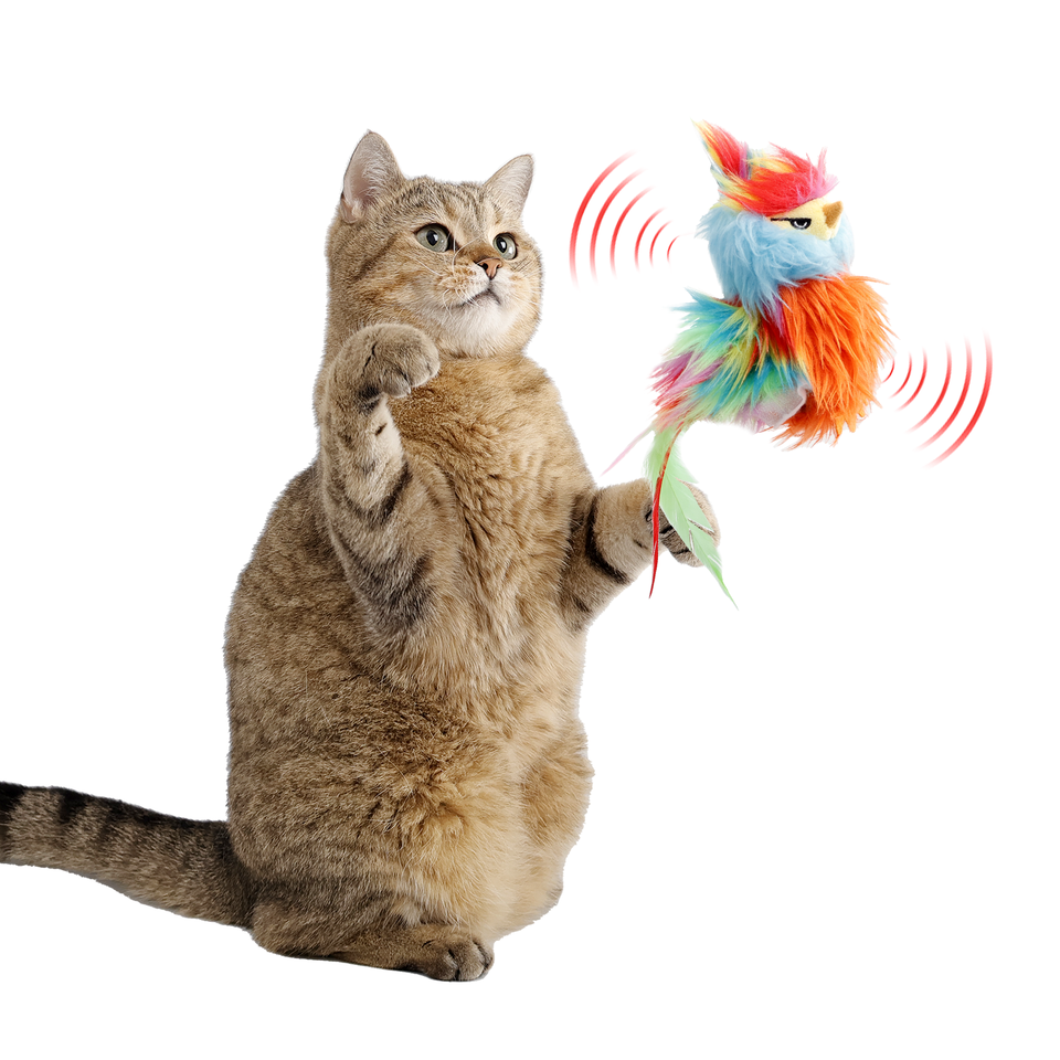Cat Stuff Rechargeable Toy Interactive Rechargeable Toy On Rug With Bird Chirping Flapping Bird Cat Toy Flapping Wings