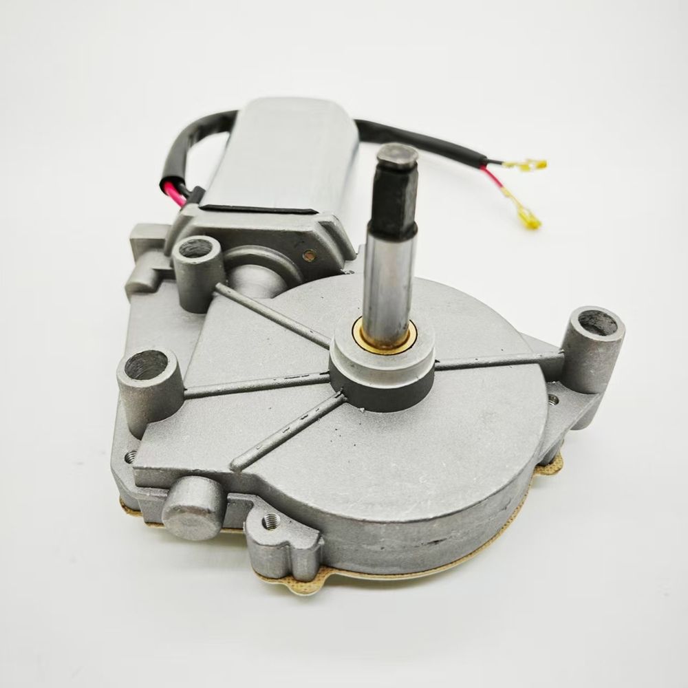 China Suppliers Rated Load Torque 5.0 N. M Lwzd206L-MB Small Door Pump Motor