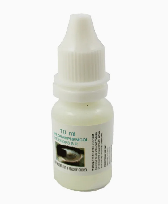 High Qualified Chloramphenicol Eye Drop 0.5%, 10ml Pharmaceutical Supply