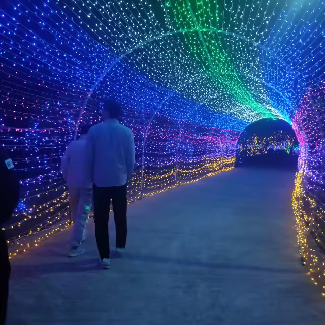 Hot Sale Led Christmas Decoration Holiday Cluster Light String Light