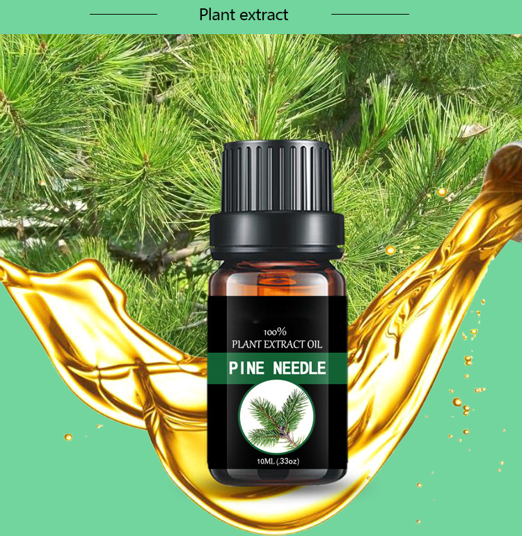 China Plants Extract Factory Supply Pine Needle Essential Oil Wholesale 100% Pure Natural Pine Tree Oil