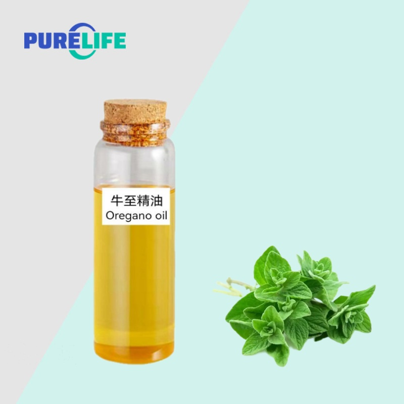 Factory Supply Wholesale 100% Pure Natural Essential Oregano Oil