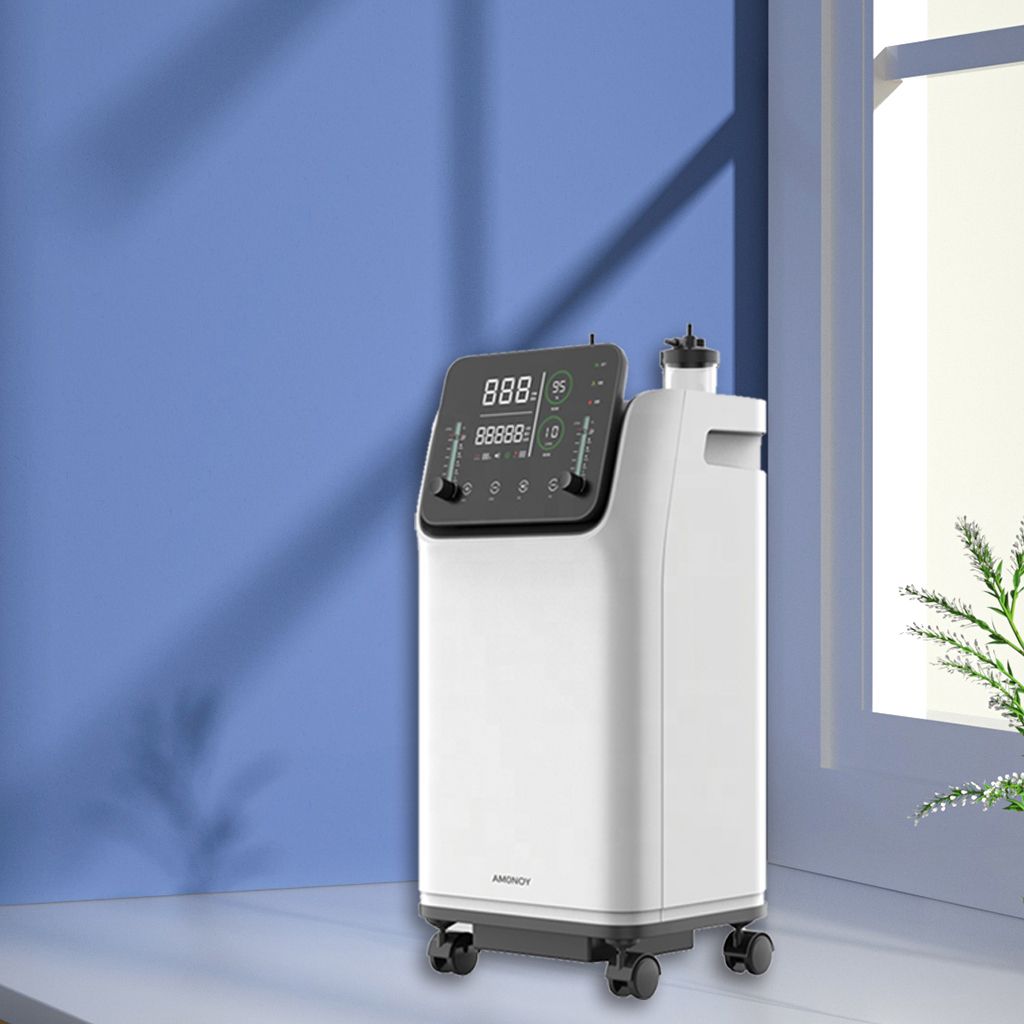 Physical Treatment Equipment 1-10L Oxygen Concentrator with Atomizer and Remote Control Stable Oxygenate for 48 Hours Home and Hospital Use
