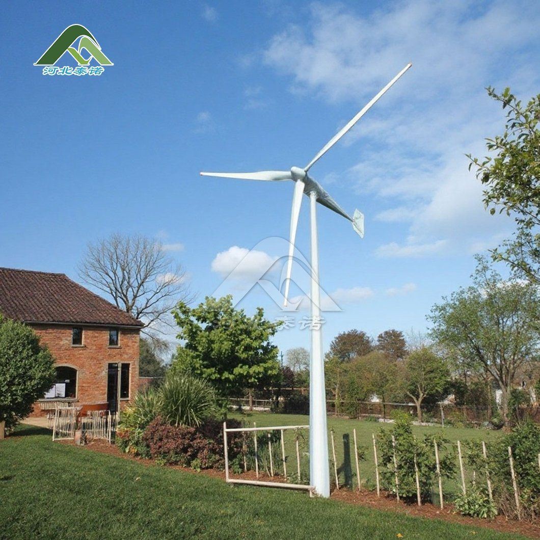 Tainuo 1kw 2kw 3kw 5kw Customizable China Homes Small Wind Turbine