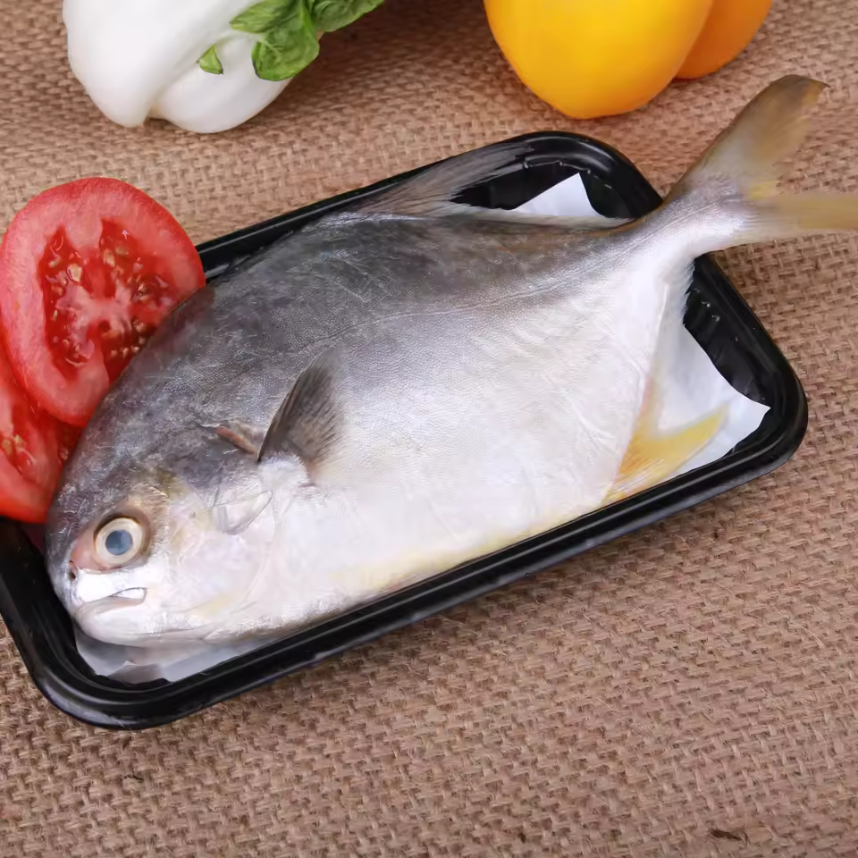 2022 fluid ABSORBENT pad for fresh