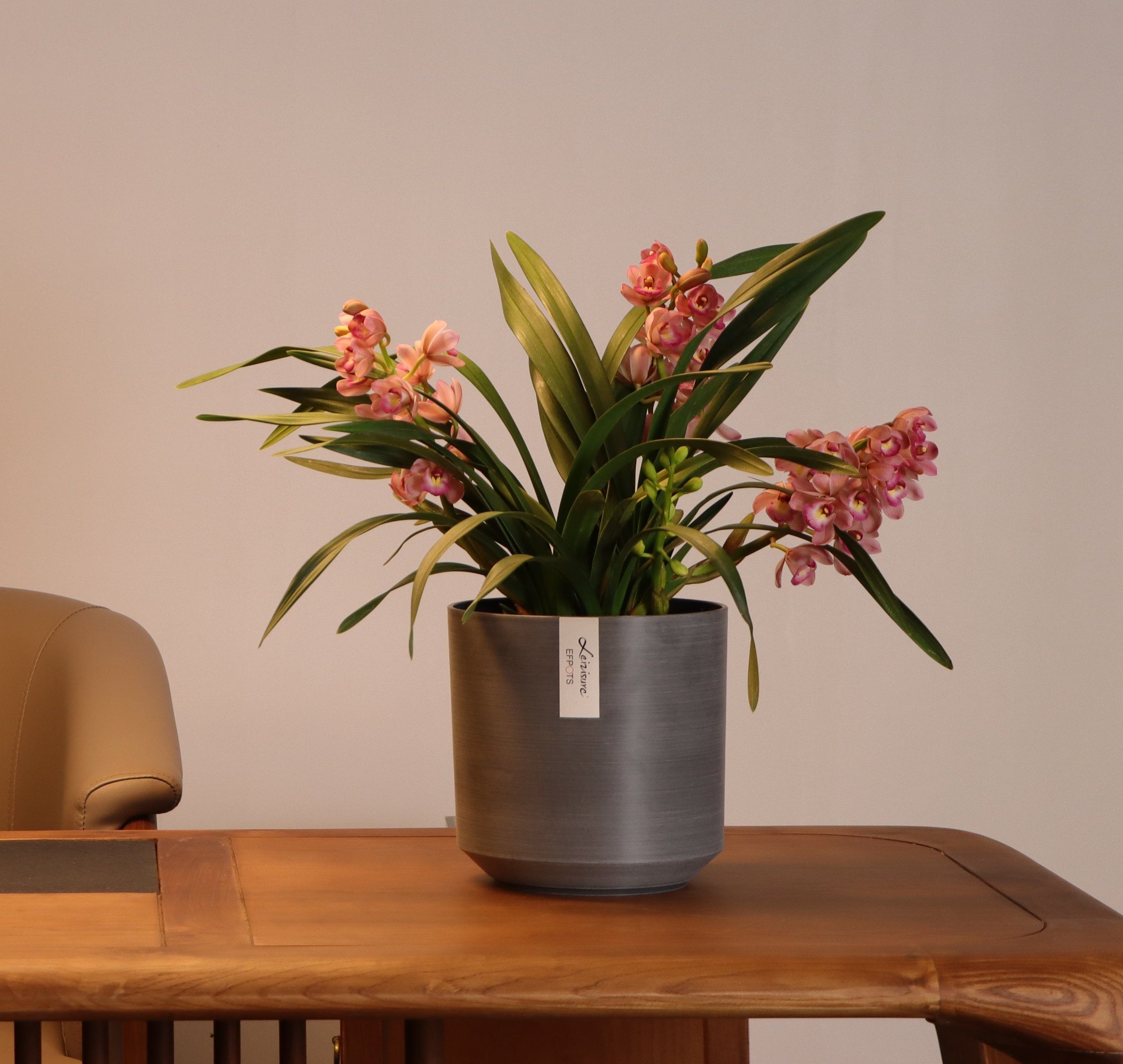 Novelty Home Decoration Wire Drawing Plastic Planter Flower Pot Indoor Plants Vase Pots for Indoor Outdoor Plants (TP-9-LS-1)