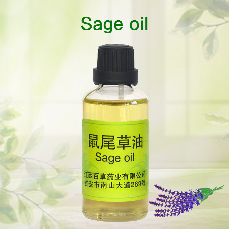 Natural Plants Extract High Quality Sage Essential Oil Wholesale