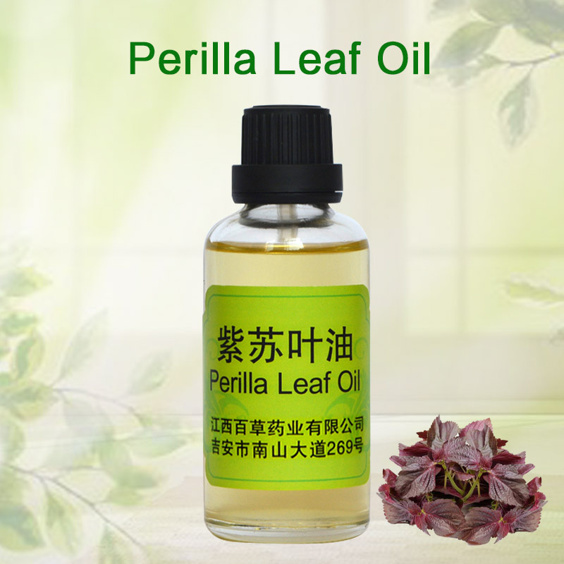 Global Exporter of Plant Extract Perilla Leaf Oil