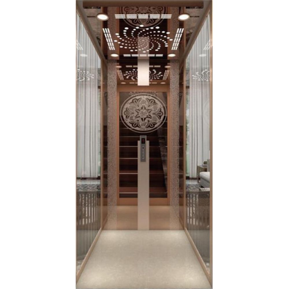 China Supplier Excellent Quality Safety Residential Lift Passenger Home Elevator