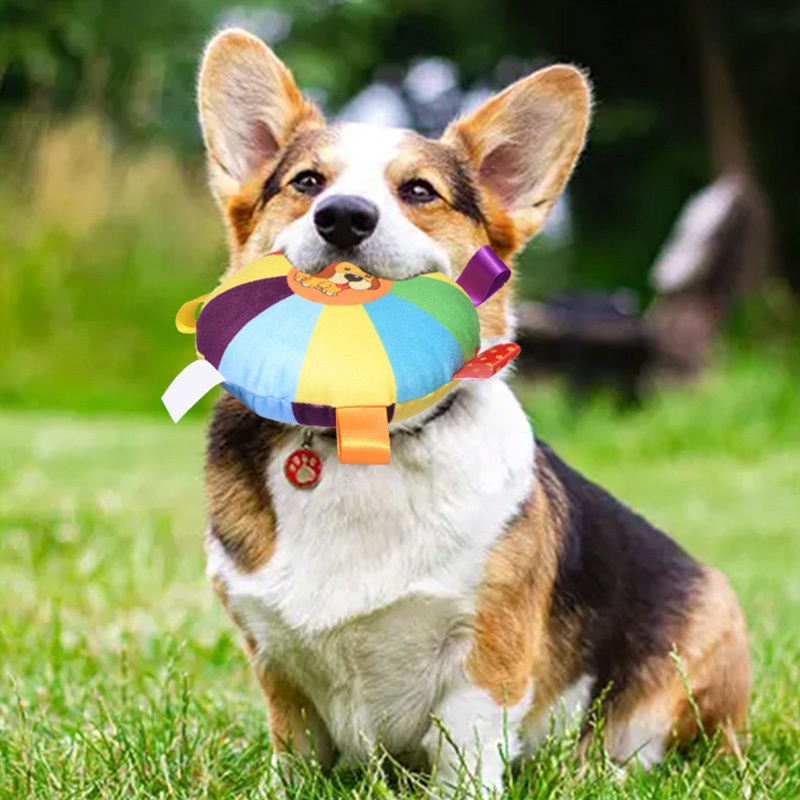 Non-Toxic Dog Frisbee for Fetch Pet Supplies Dog Toy for Play