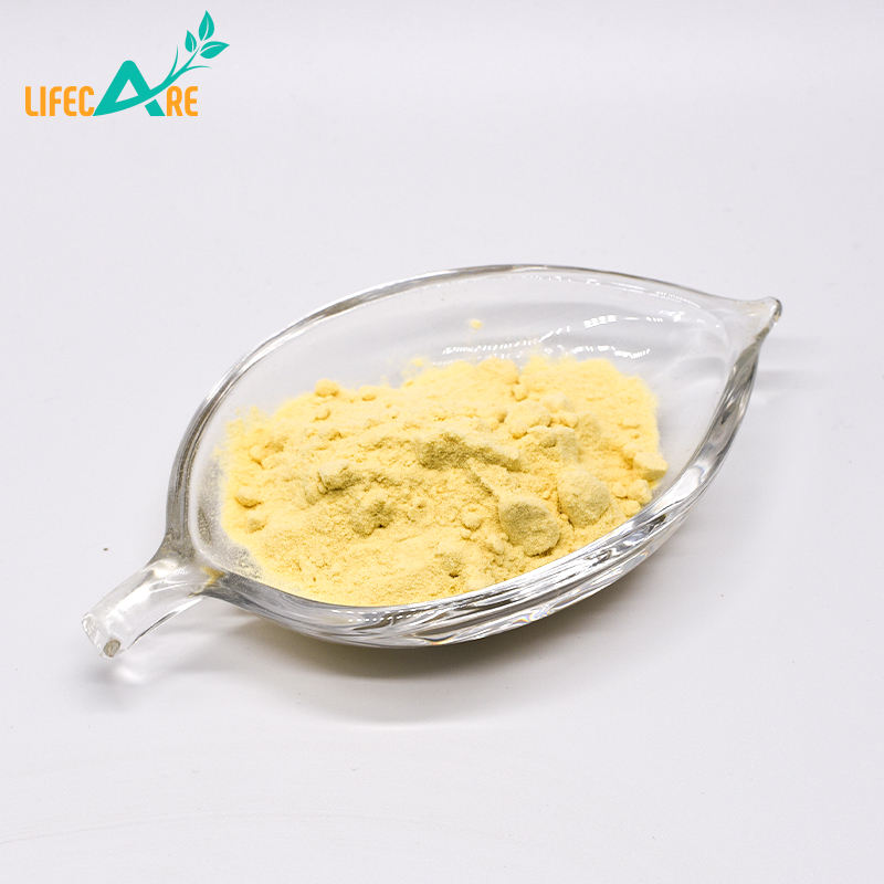 China Panax Ginseng Root Extract, Korean Ginseng Extract Powder