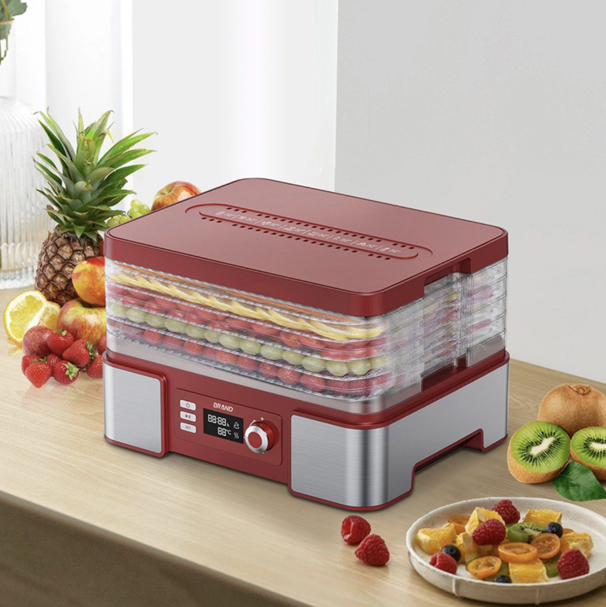 Affordable 5 Tray Electric Food Dehydrators - Quiet Operation Under 55 dB