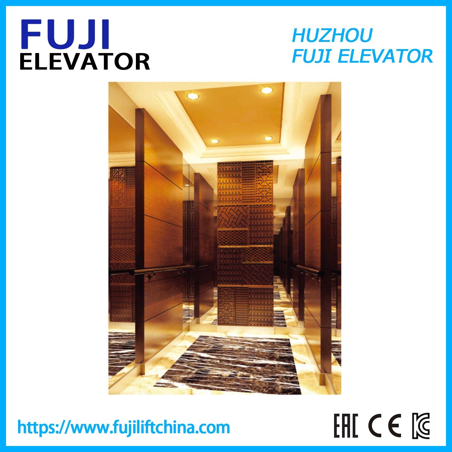 Panoramic Passenger Elevator Home Lift Including Glass Shaft with China Factory