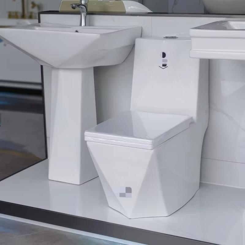 Modern One PC Water Closet Seats Matt White Apartment Toilets Ceramic Wc Sets
