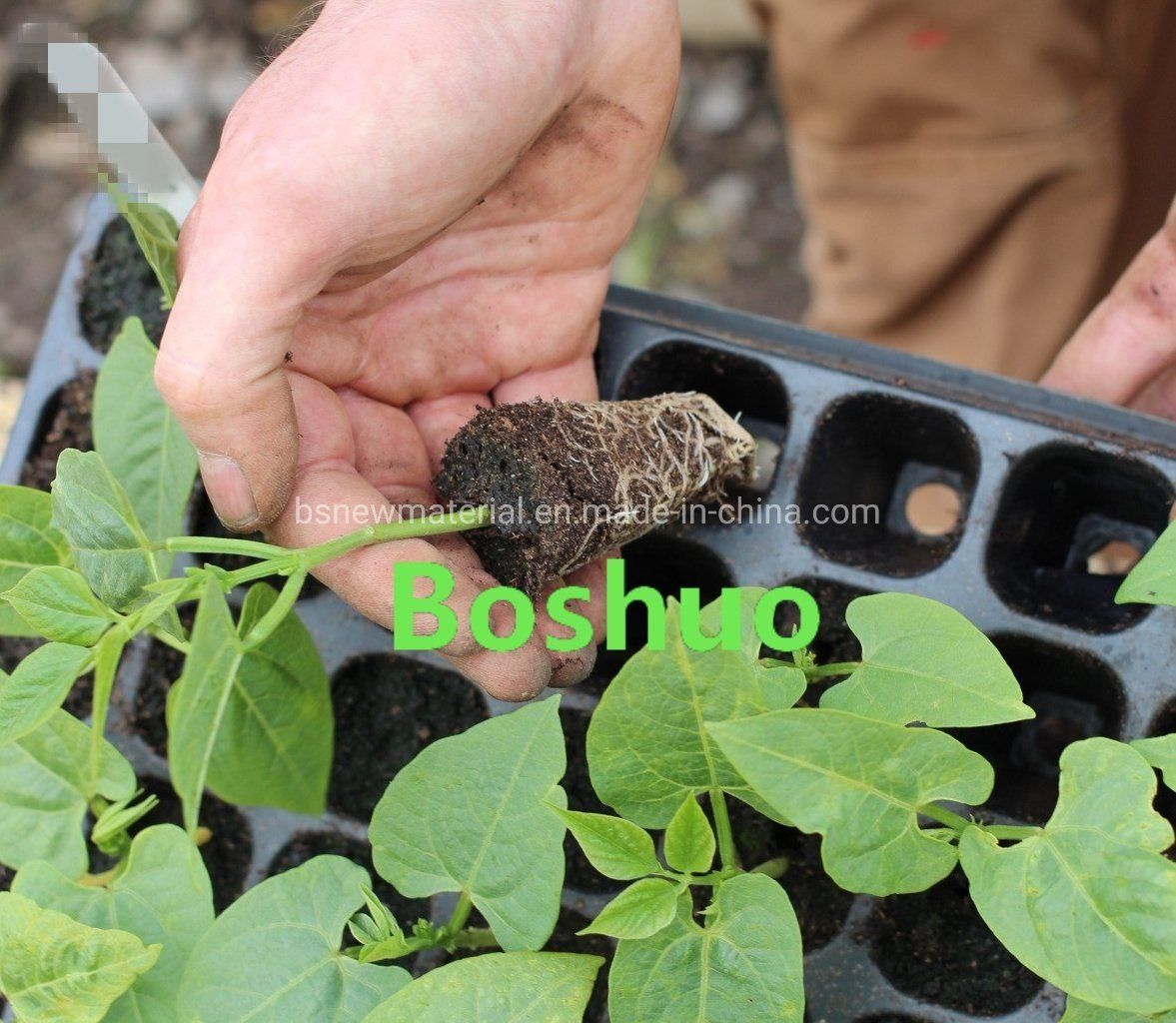 Garden Horticulture Plastic PE / PS Seedling Nursery Planting Tray for Vegetable Flower Wood Tobacco Plug Seed Propagation 28 32 50 72 98 105 128 200 288 Cells